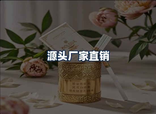 专业团队办公环境